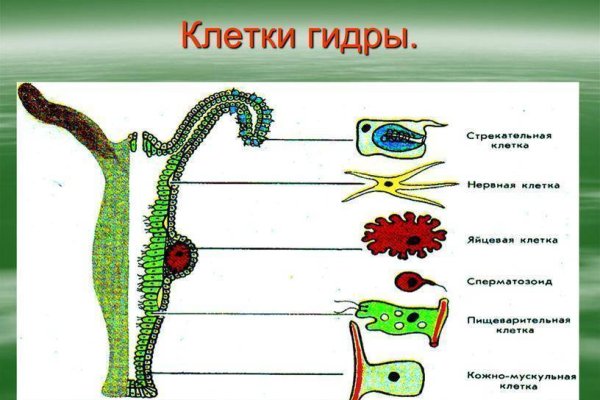 Как через сафари зайти на кракен