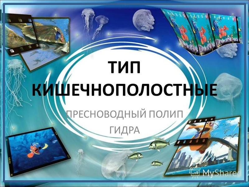 Как найти кракен в торе